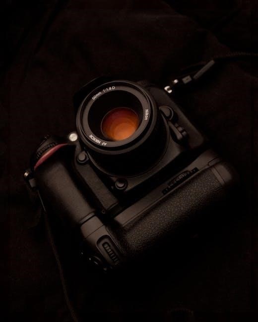 manual for nikon d3100